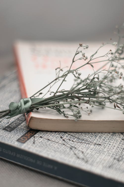Free Bunch Of Small Flowers On A Book Stock Photo