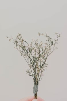 这幅极简主义静物画中，一只手在灰色背景上拿着一束精致的莲花