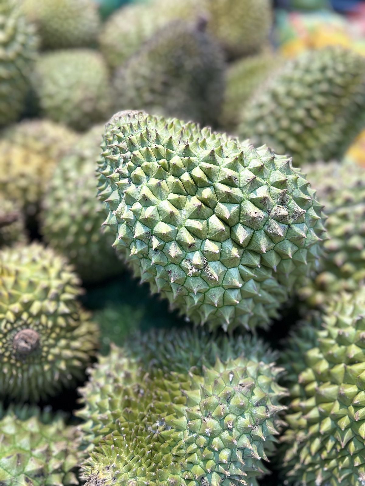 Close-up Shot of Durian Fruits · Free Stock Photo