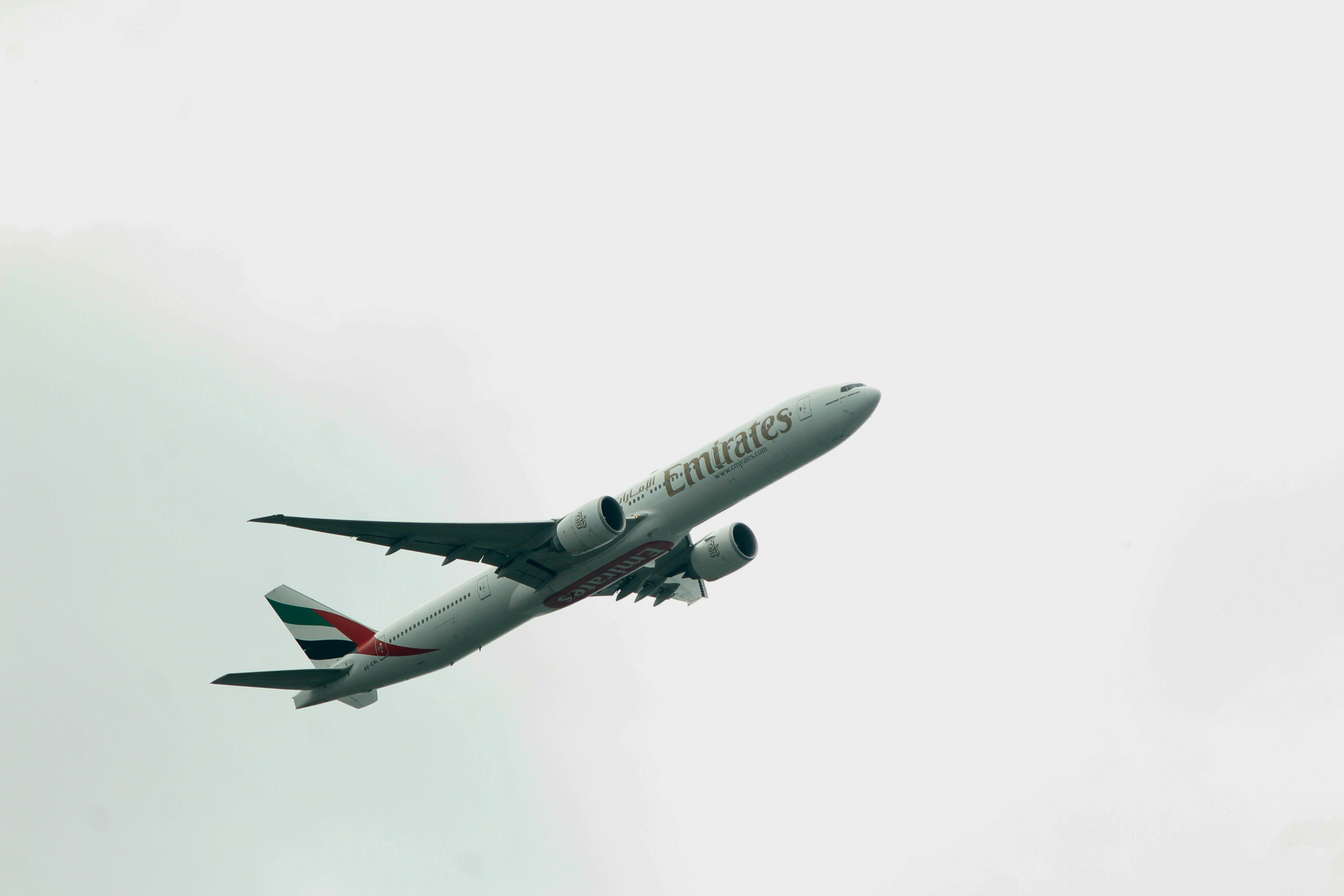 8 Best Airline Credit Cards for Travel Rewards and Perks — Photo by Saravanan Narayanan on Pexels