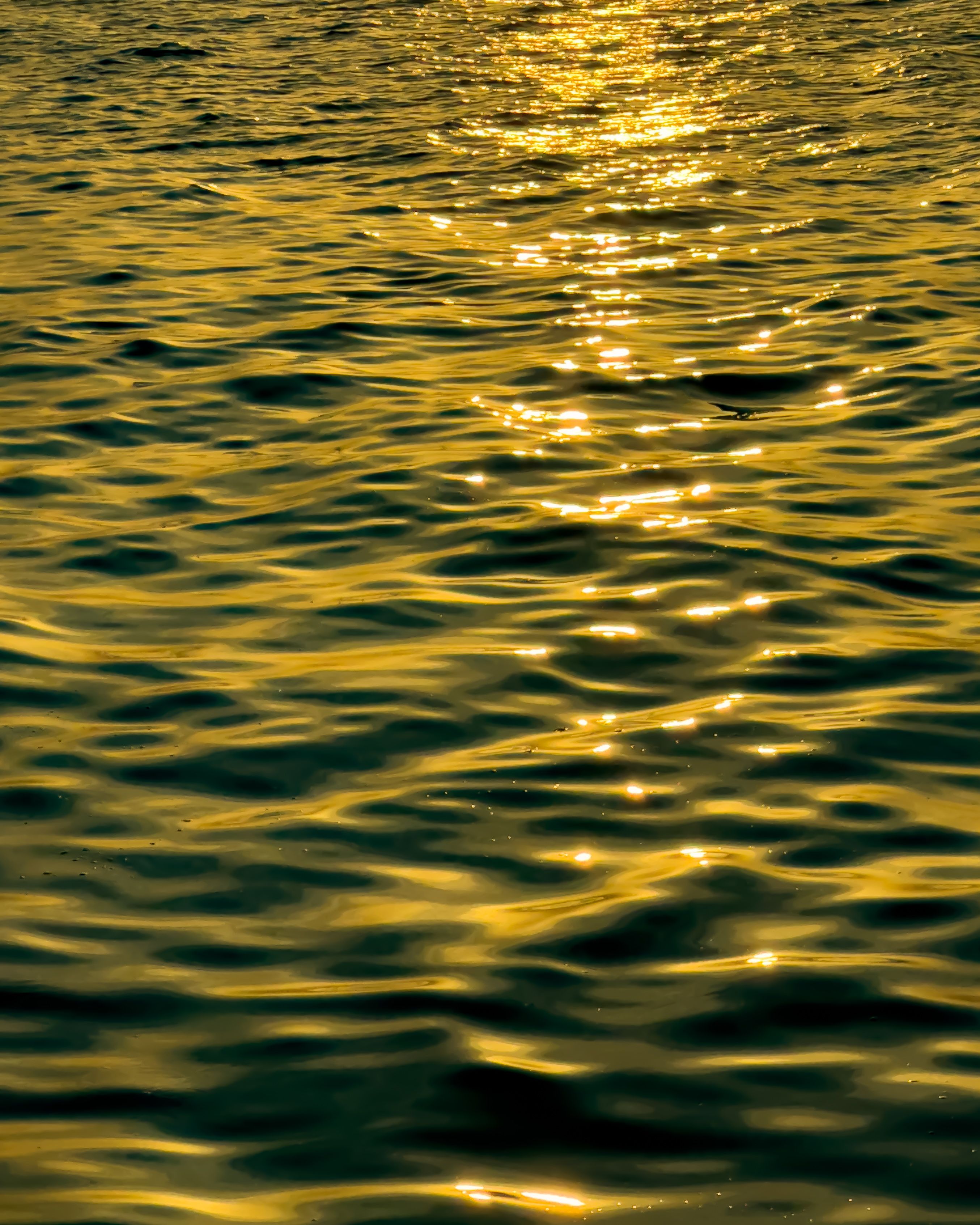 Golden Sunlight Reflecting on Ocean Waves · Free Stock Photo
