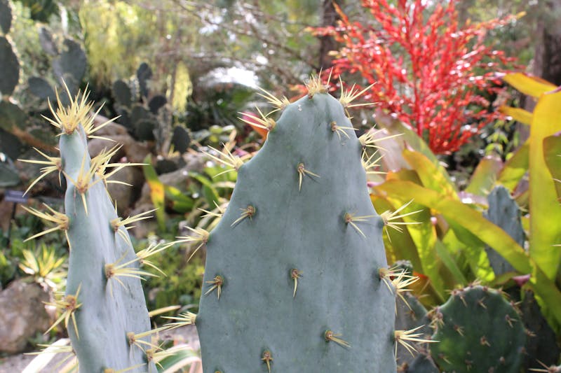 Delhi to Nainital cab – hills