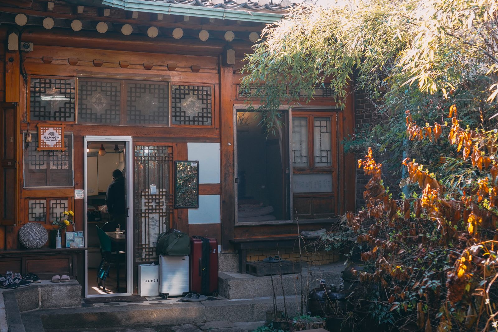 Traditional Korean hanok framed by green foliage