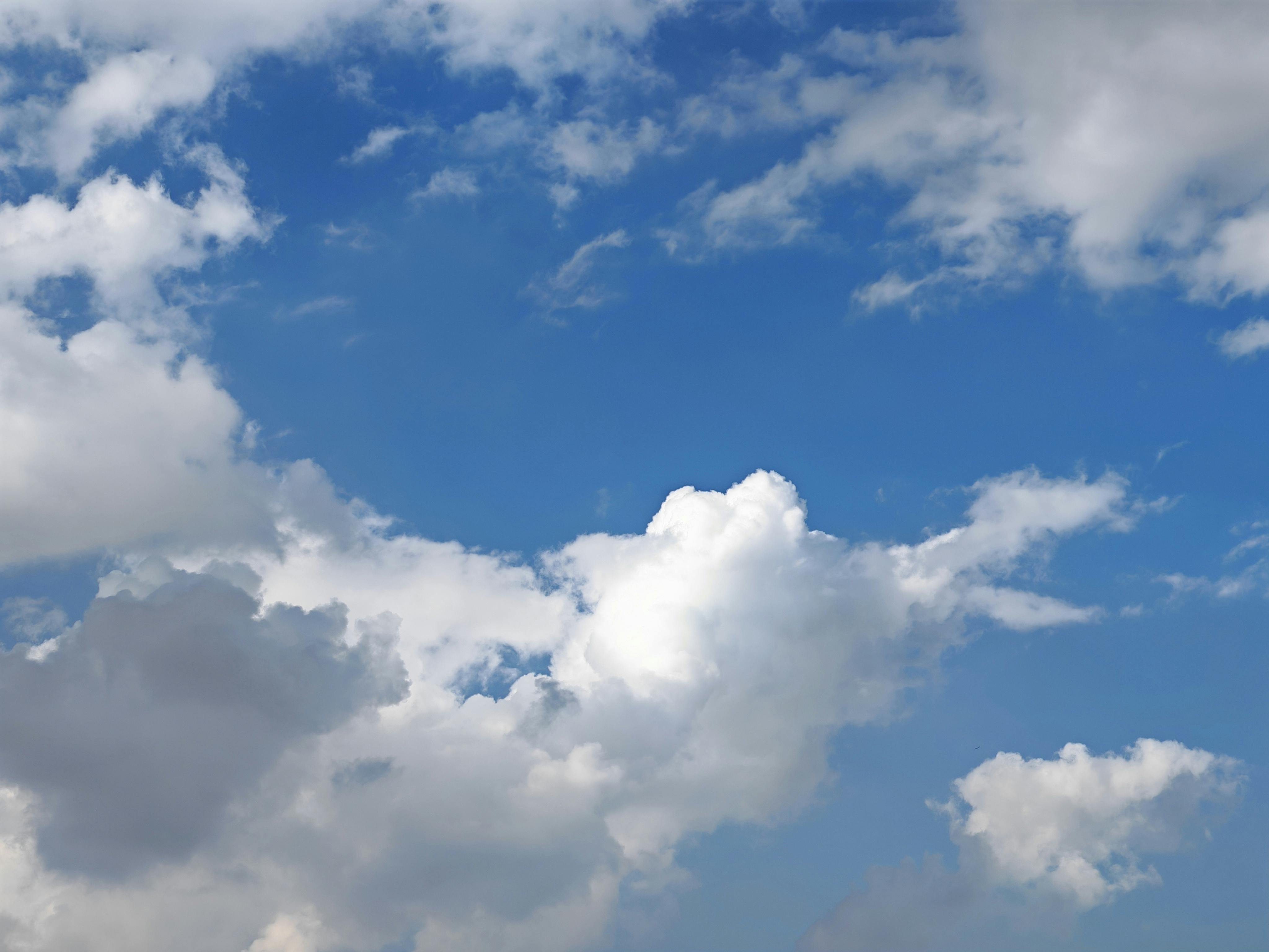 OpenCLaw on AMD Developer Cloud: Free Deployment with Qwen 3.5 and SGLang — Photo by Mahmoud Zakariya on Pexels