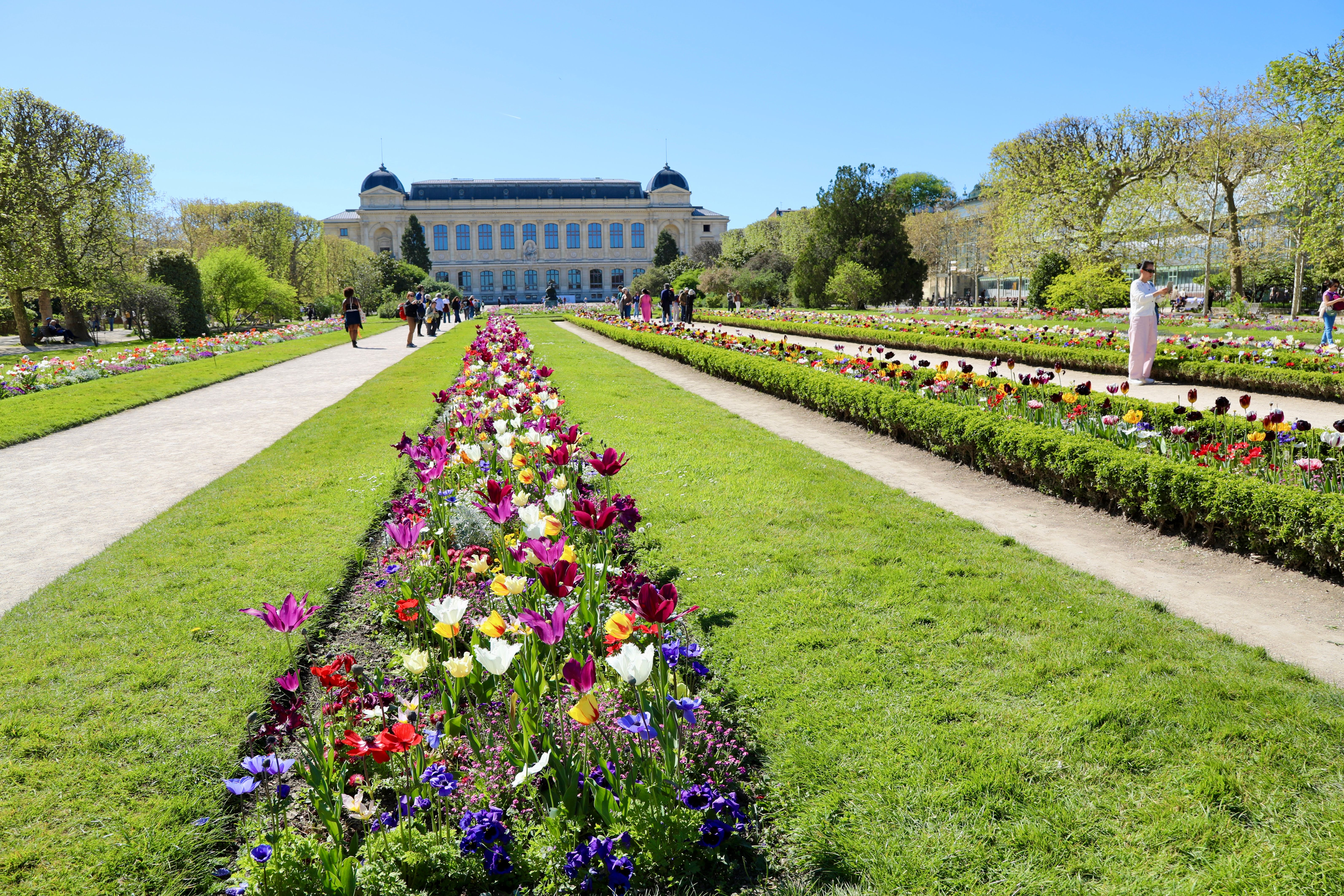 Vibrant flowerbeds at the Jardin des Plantes, Paris, in springtime with visitors enjoying a sunny day. — Marché Airbnb Paris 5e : demande touristique internationale et business