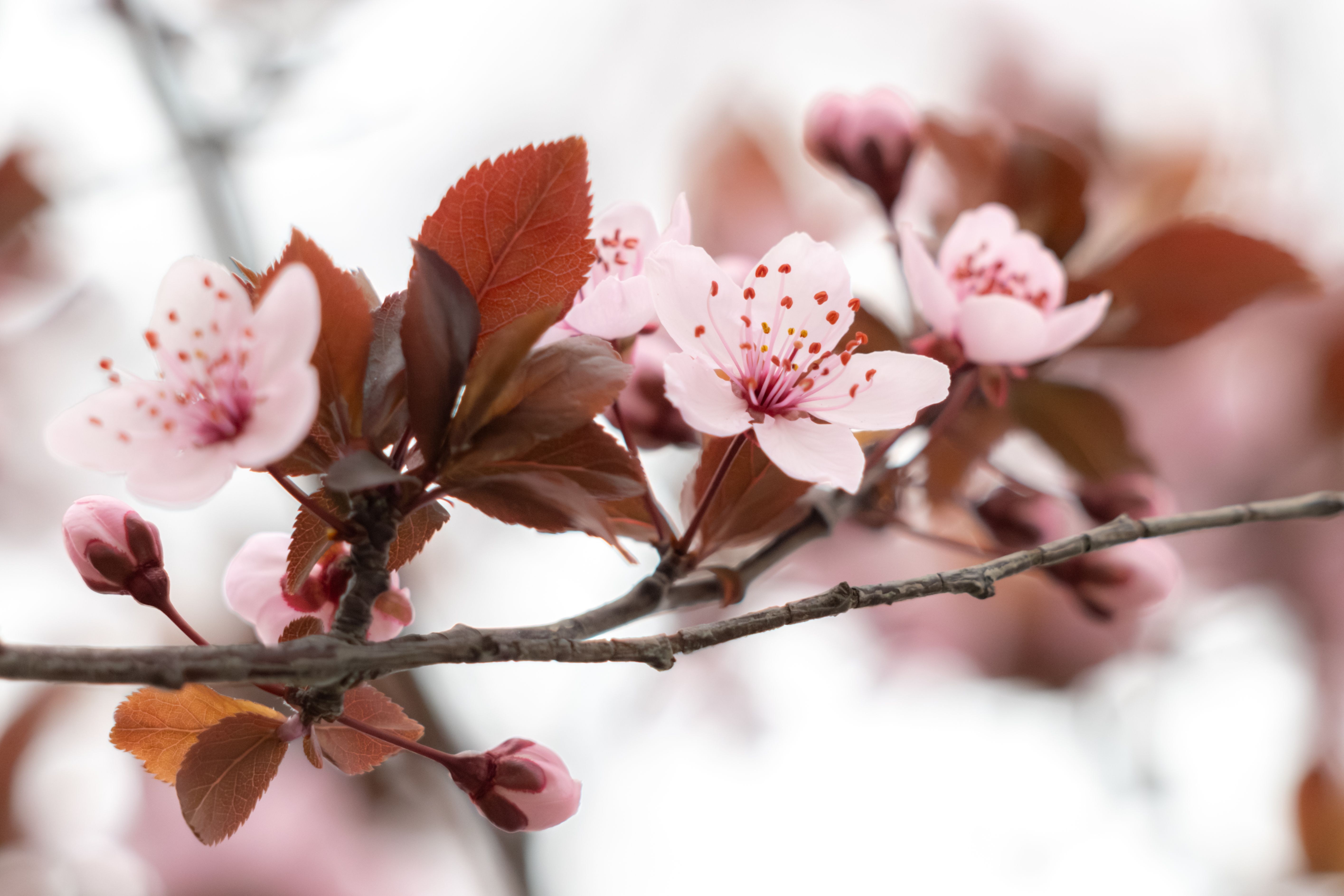 🌅 EPM MORNING BRIEFING — April 16, 2026