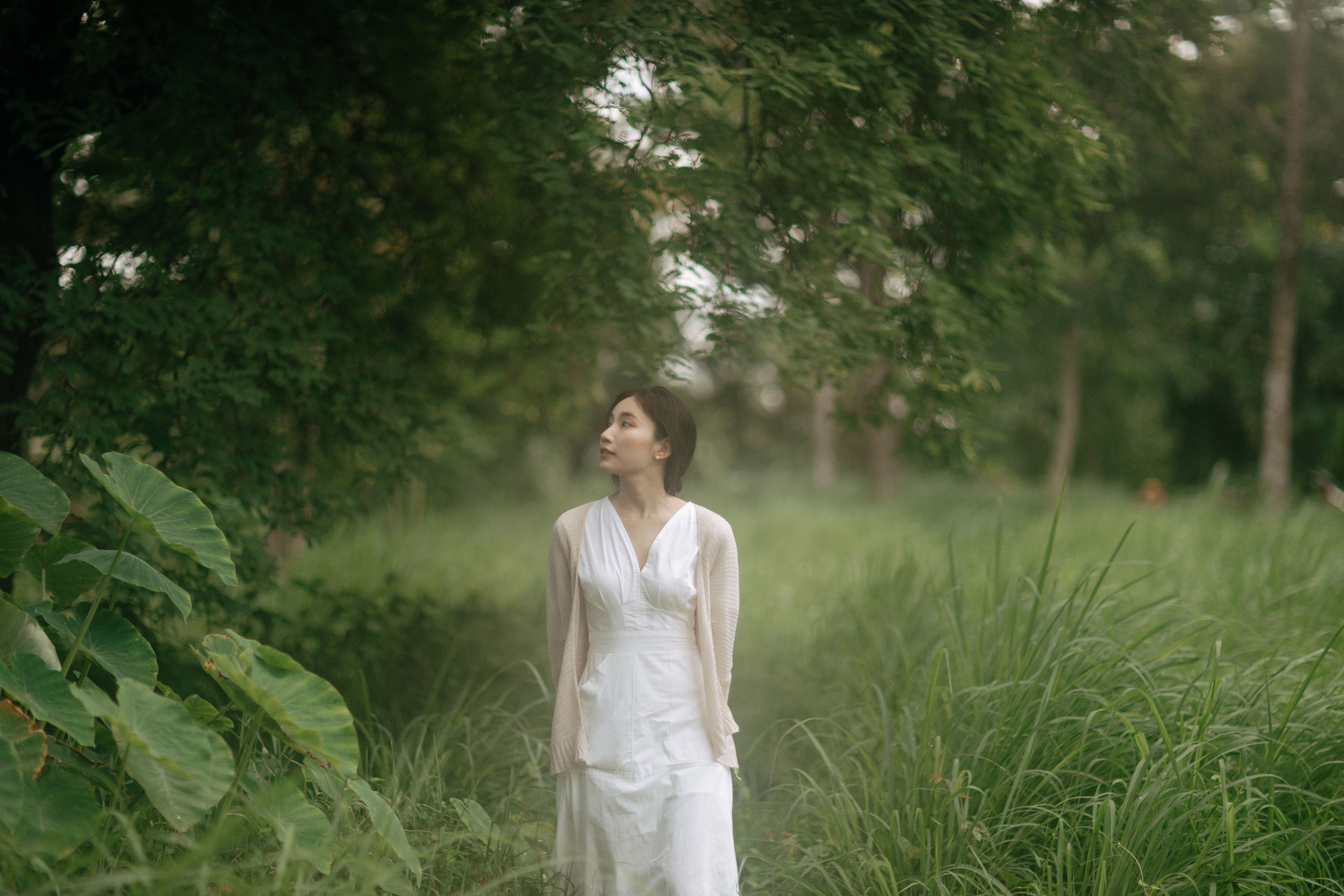 A serene scene of a woman in white dress walking through lush outdoor greenery.