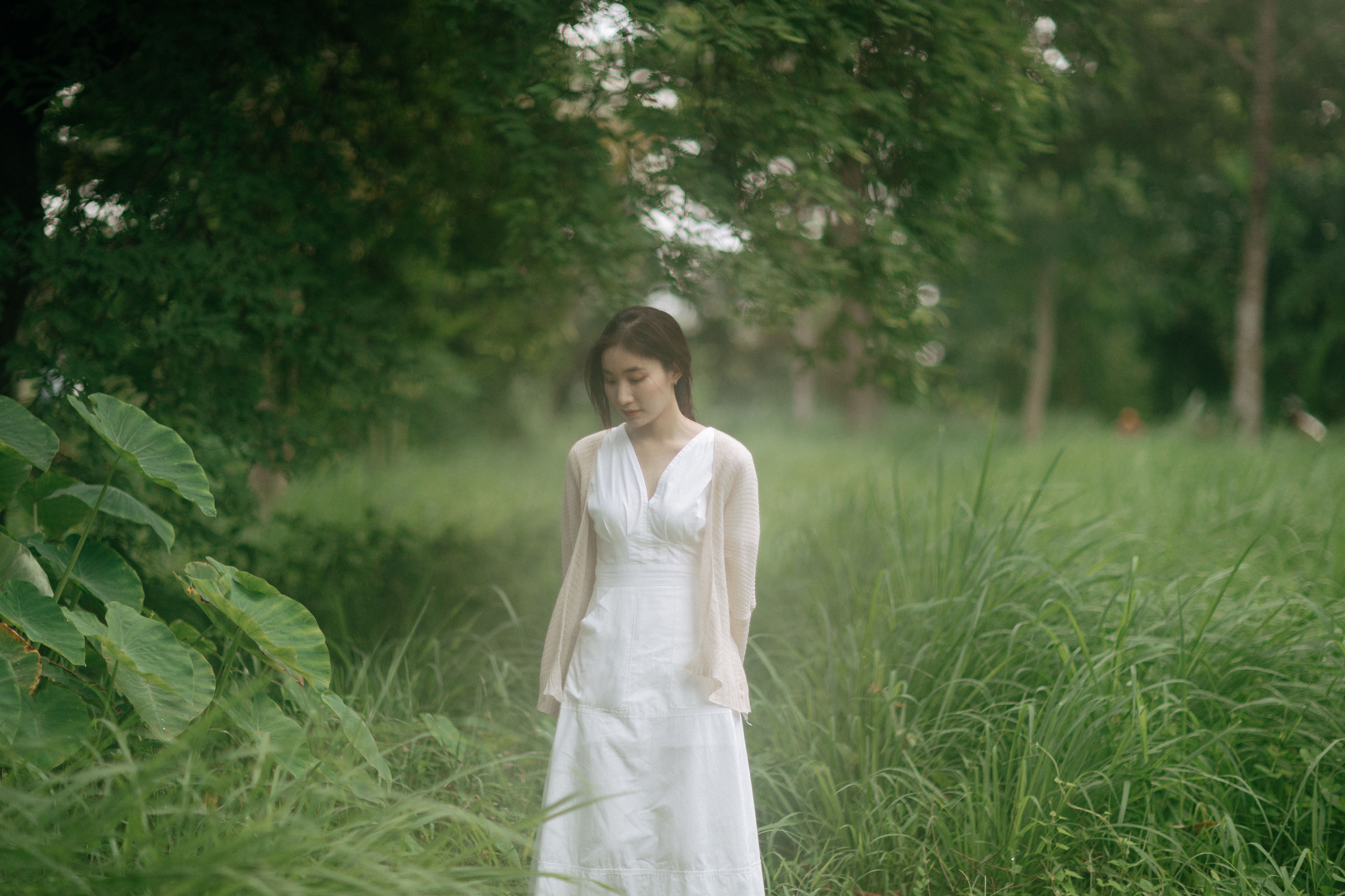 Woman in White Dress in Lush Green Forest · Free Stock Photo