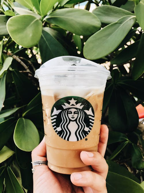 Free stock photo of coffee, starbucks