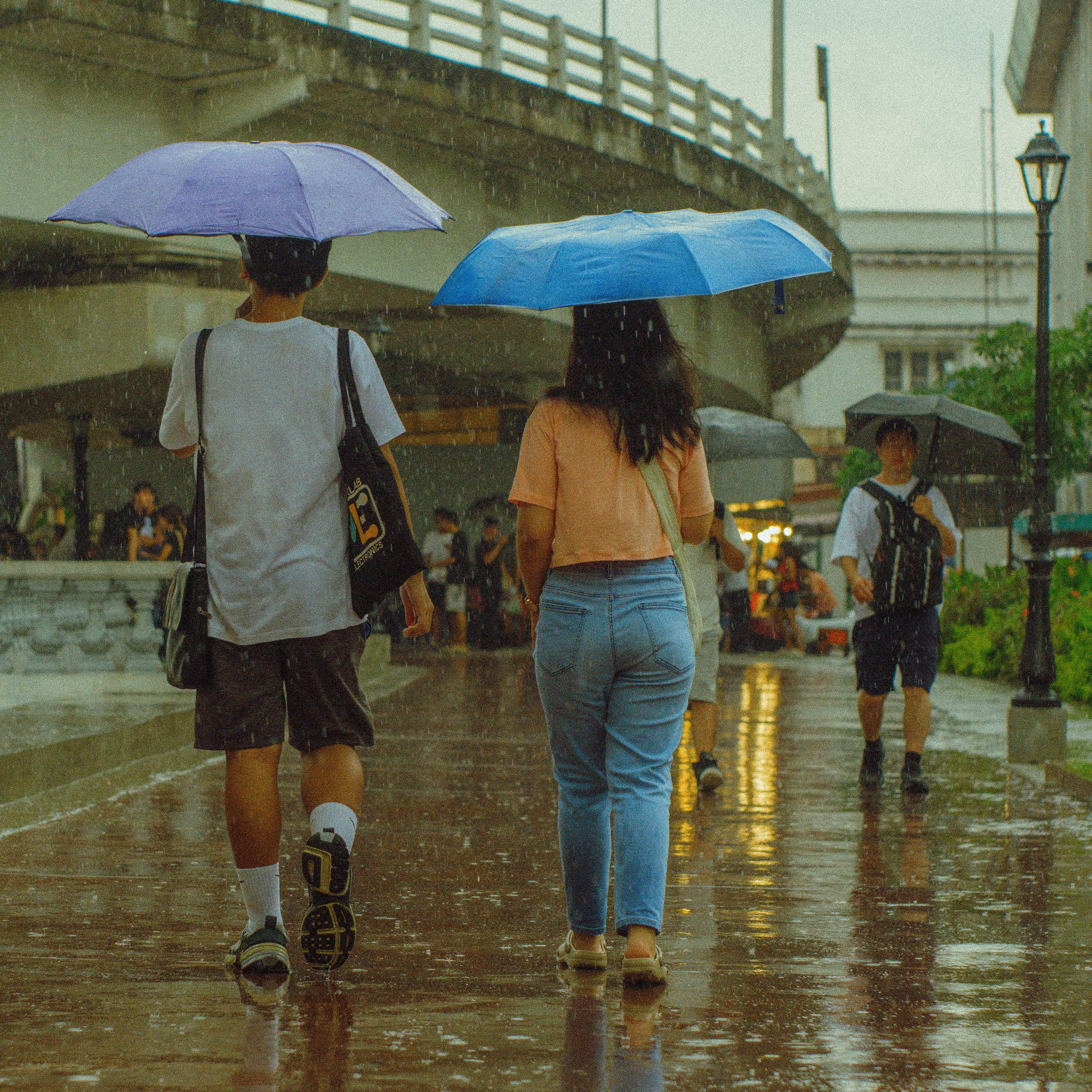 People Walking with Umbrellas on a Rainy Day · Free Stock Photo