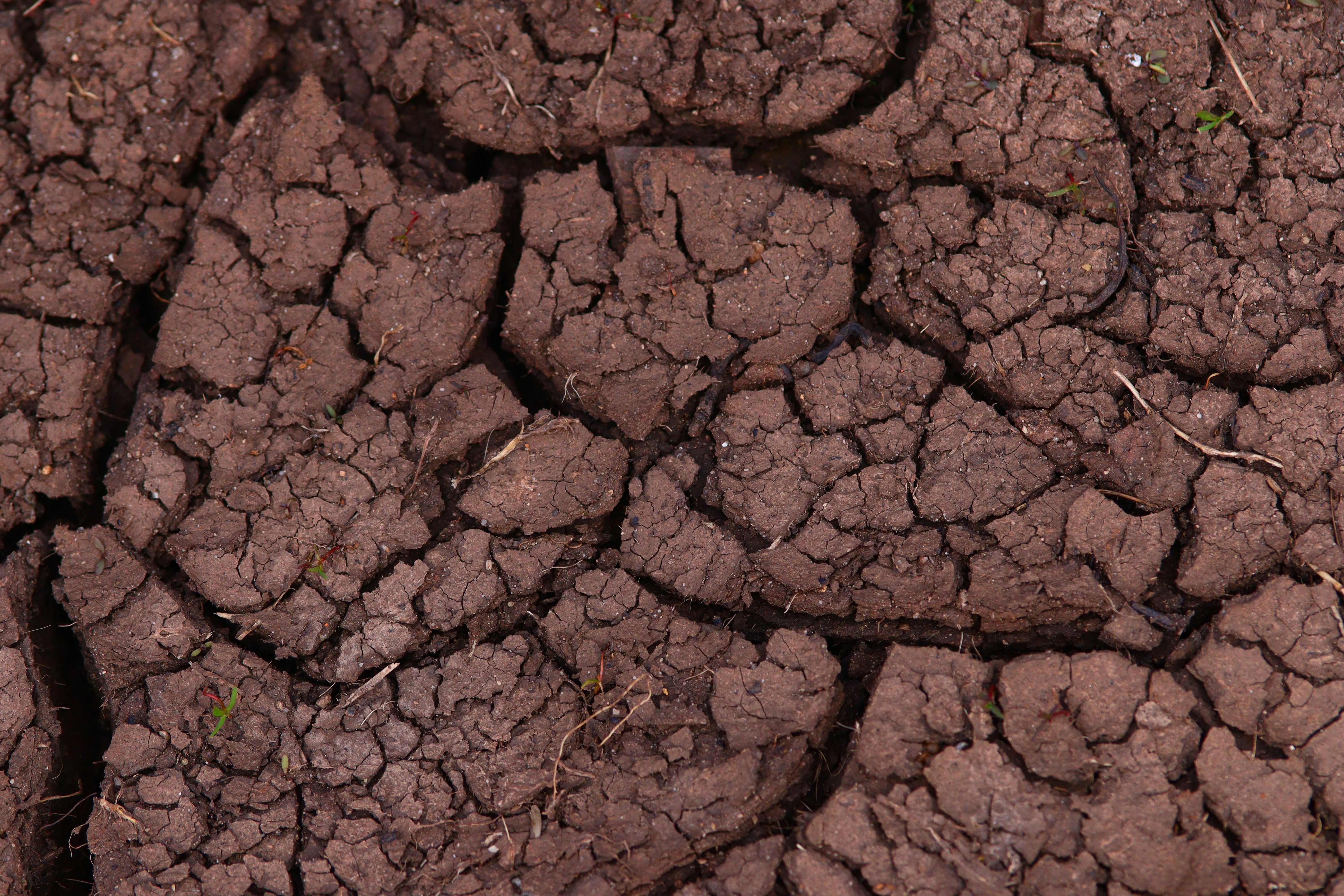 Oklahoma soil with dry cracked ground under a clear sky illustrating climate impact on foundation stability in Tulsa
