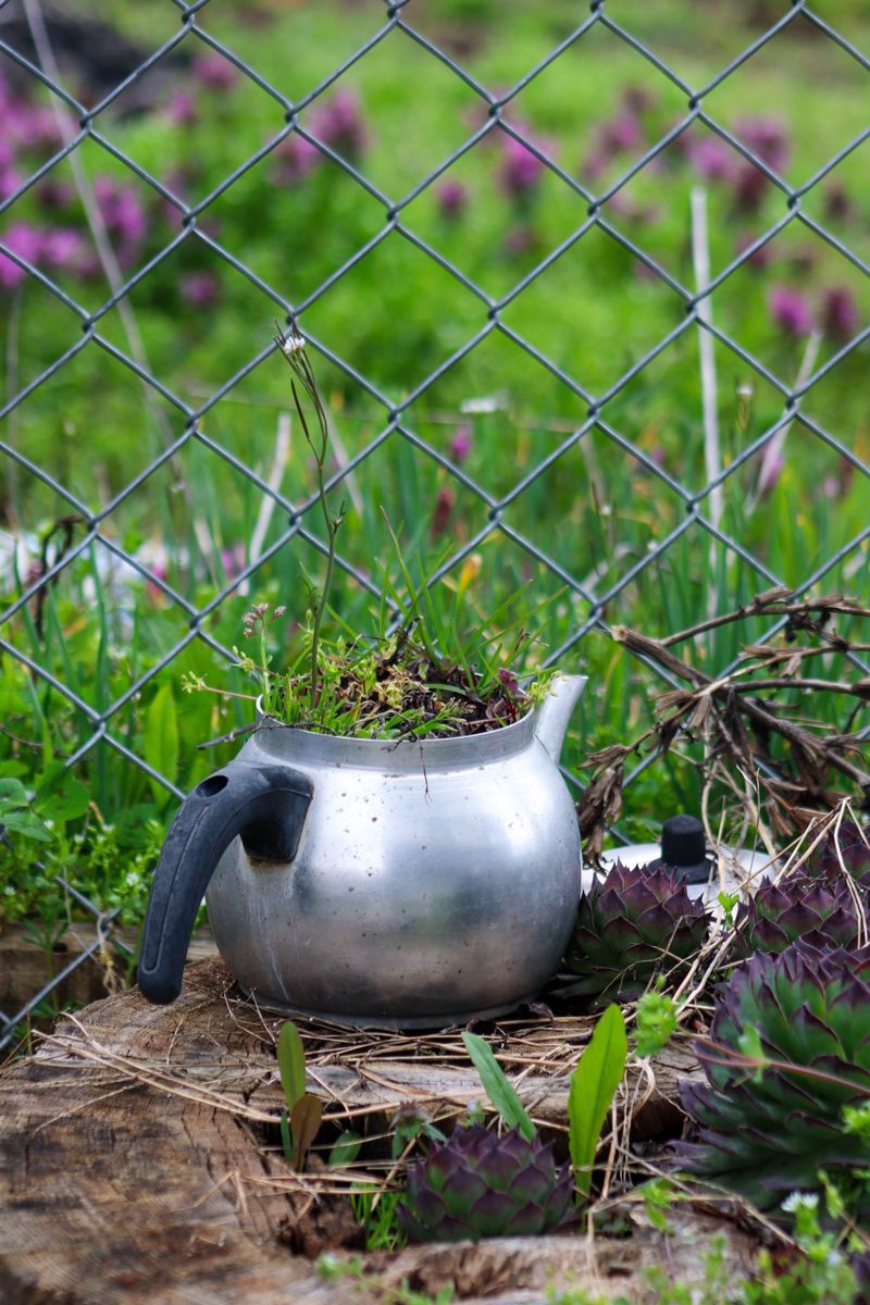 Greywater Recycling Systems: A Homeowner's Guide
