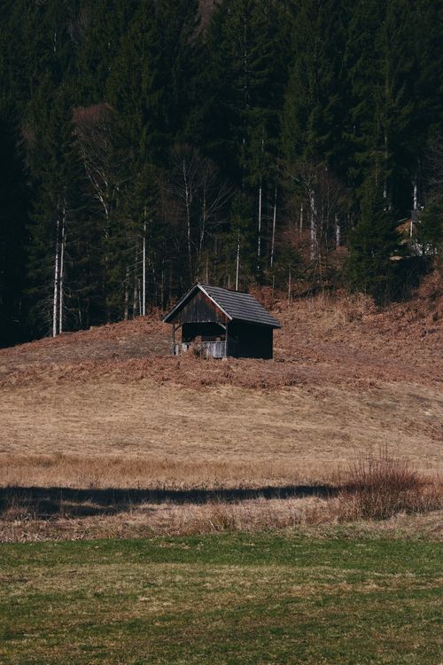Free A solitary cabin rests on a scenic hillside surrounded by dense forest. Stock Photo