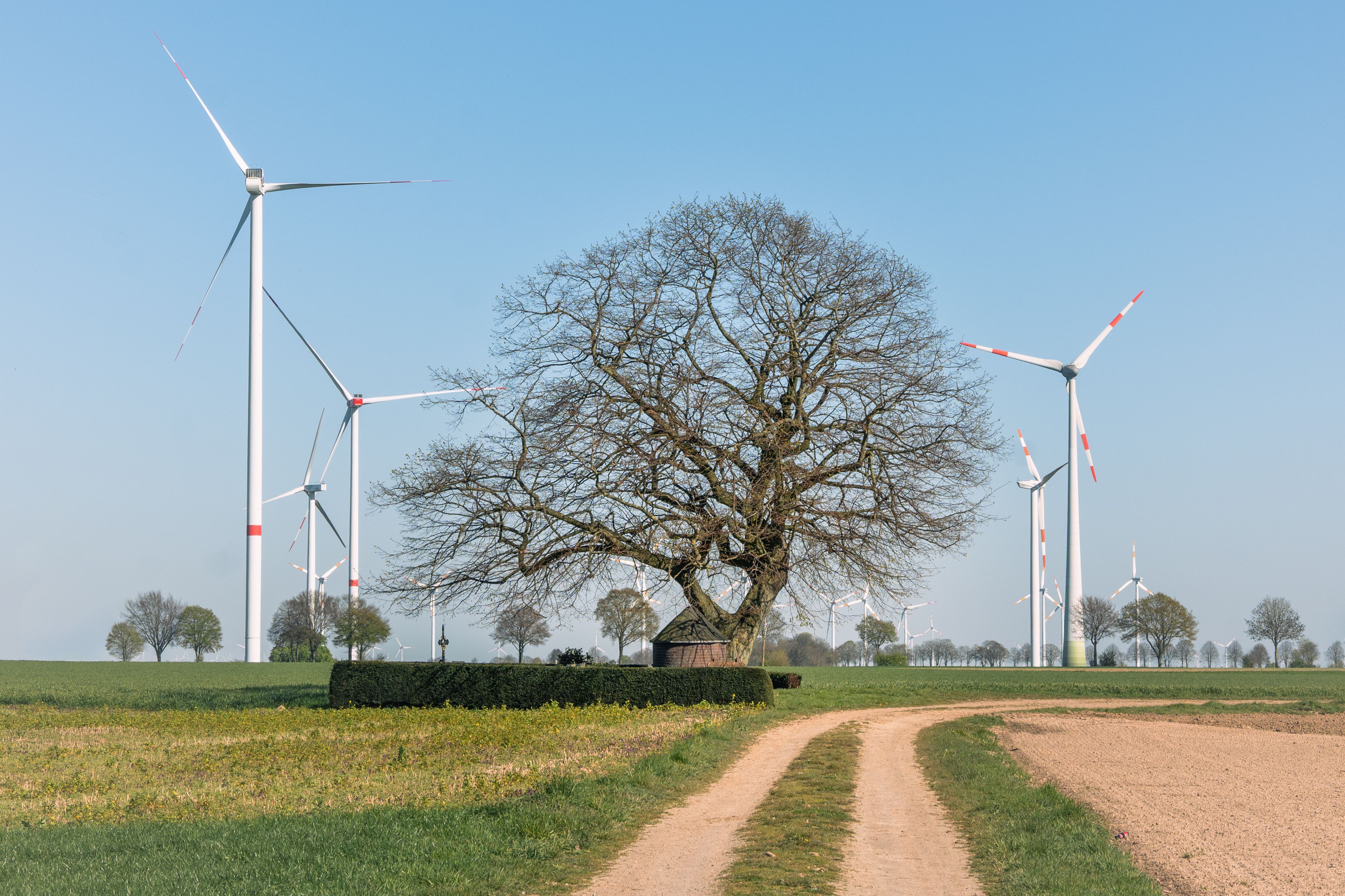 7 Benefits of Renewable Energy Use — Photo by Lorna Pauli on Pexels