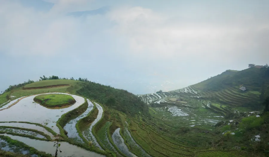 Les rizières de Sapa