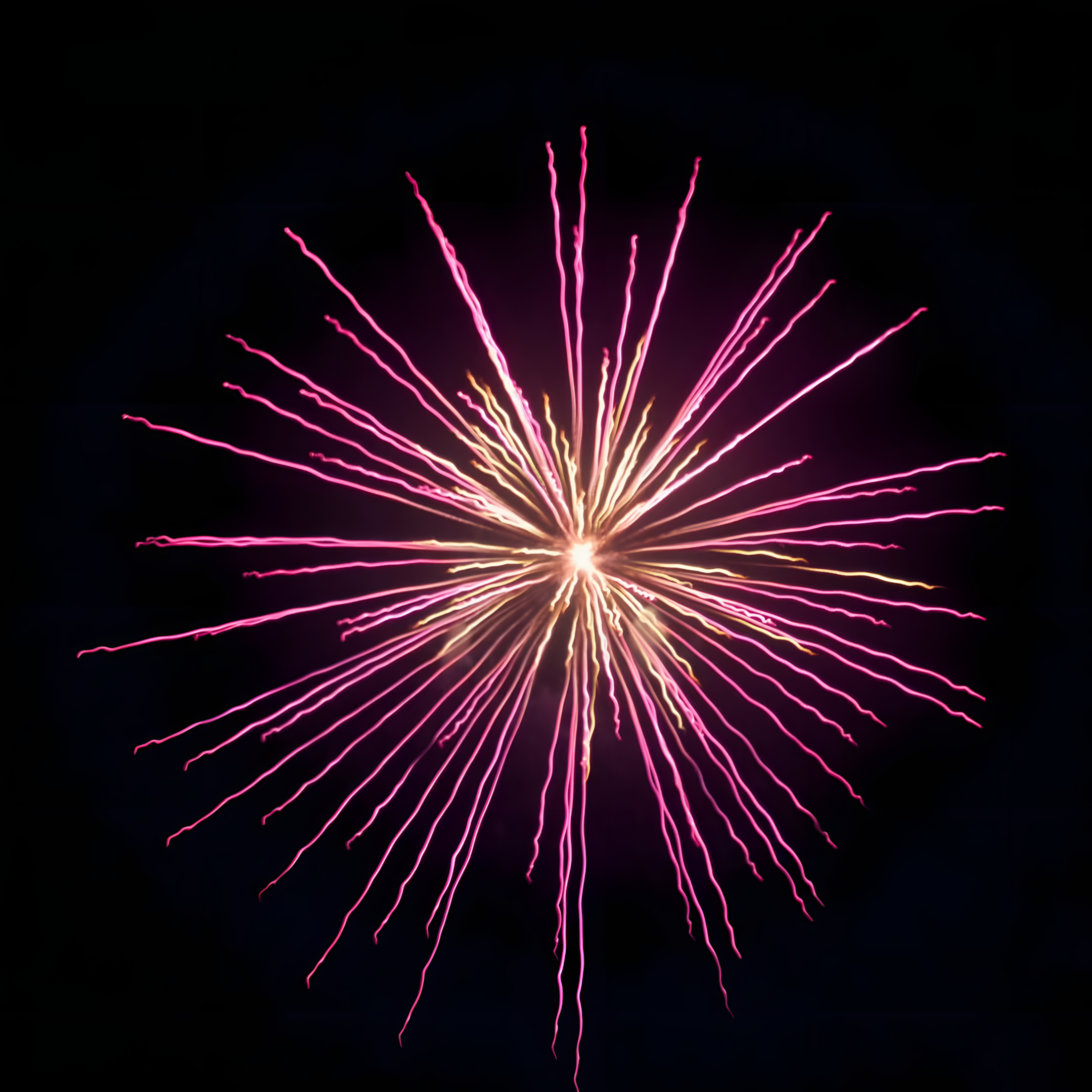 Vibrant Pink Firework Burst Against Night Sky · Free Stock Photo