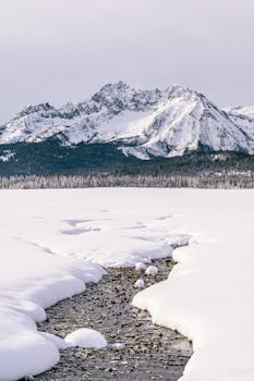 冬日晴朗的天空下，宁静的雪景、山脉与溪流相映成趣