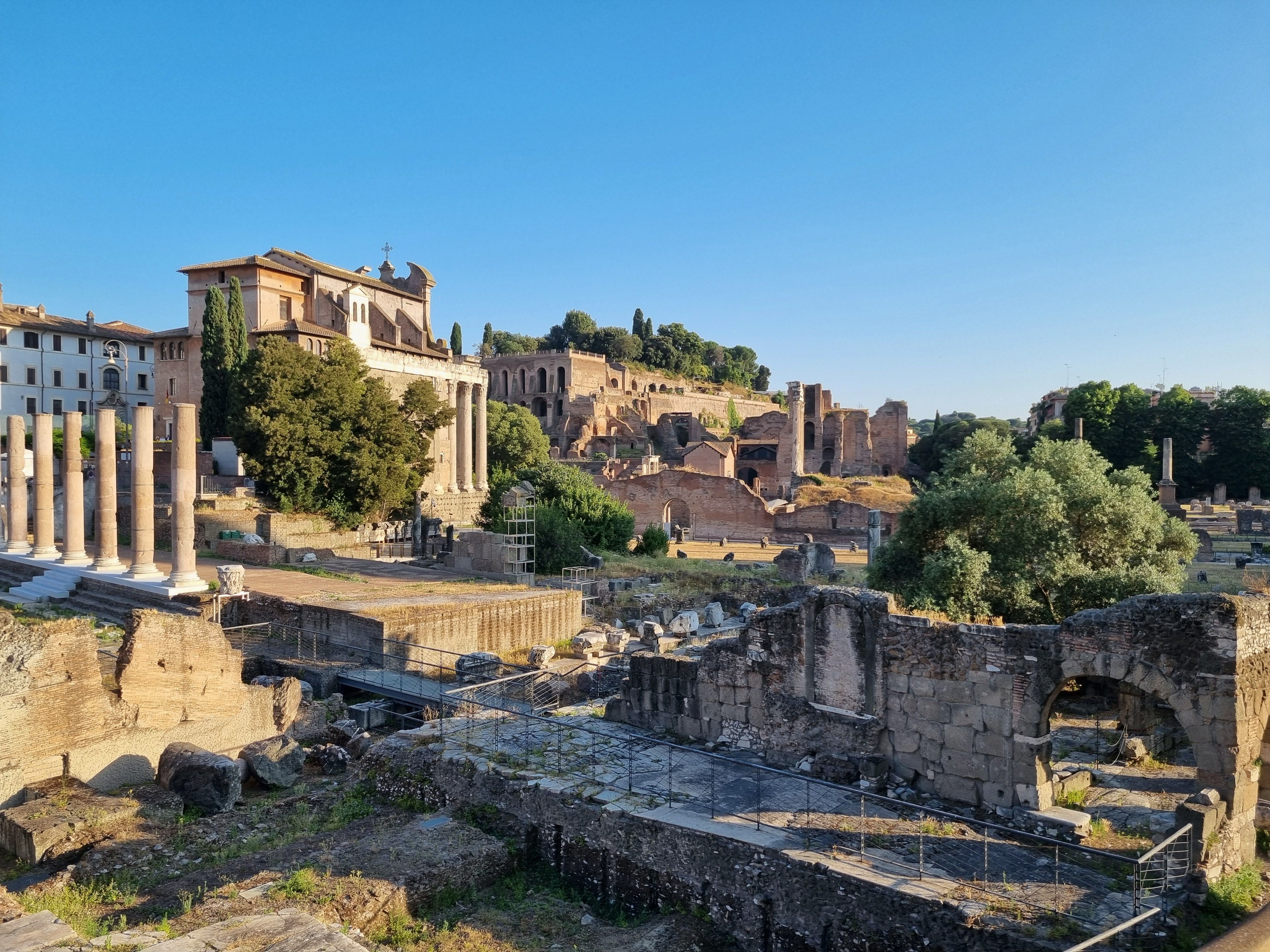 A scenic view of the ancient Roman Forum ruins in Rome, highlighting historic architecture and lush greenery.