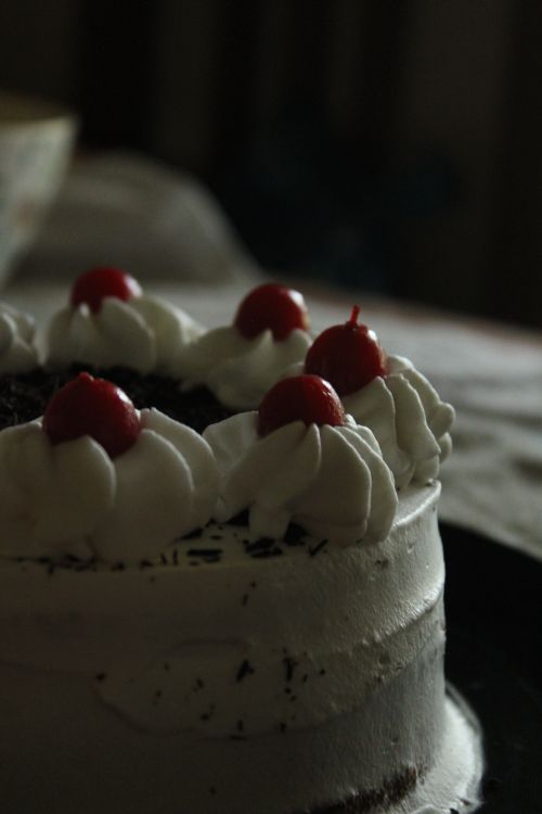 Free Close-up of a black forest cake topped with whipped cream and cherries. Stock Photo