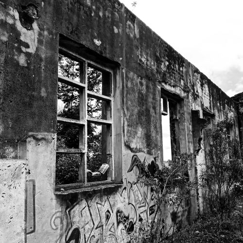 Free Black and white image of an abandoned building with graffiti. Stock Photo