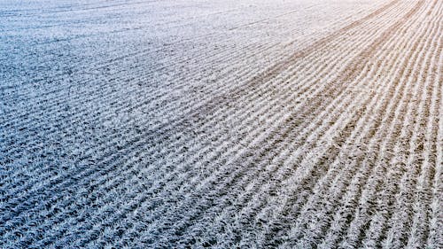 Foto d'estoc gratuïta de a l'aire lliure, agricultura, camp