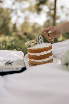 A hand reaches for a decorated cake with '18' candles at an outdoor picnic setting.