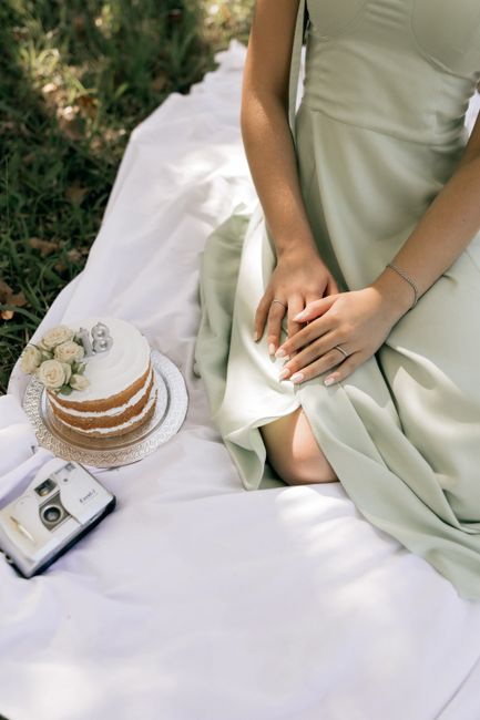 A serene outdoor picnic featuring a woman in a green dress, a decorative cake, and a vintage camera.