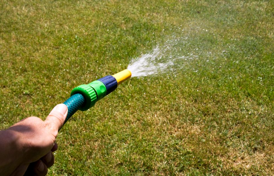 How Often Should You Water Your Lawn? A Seasonal Guide