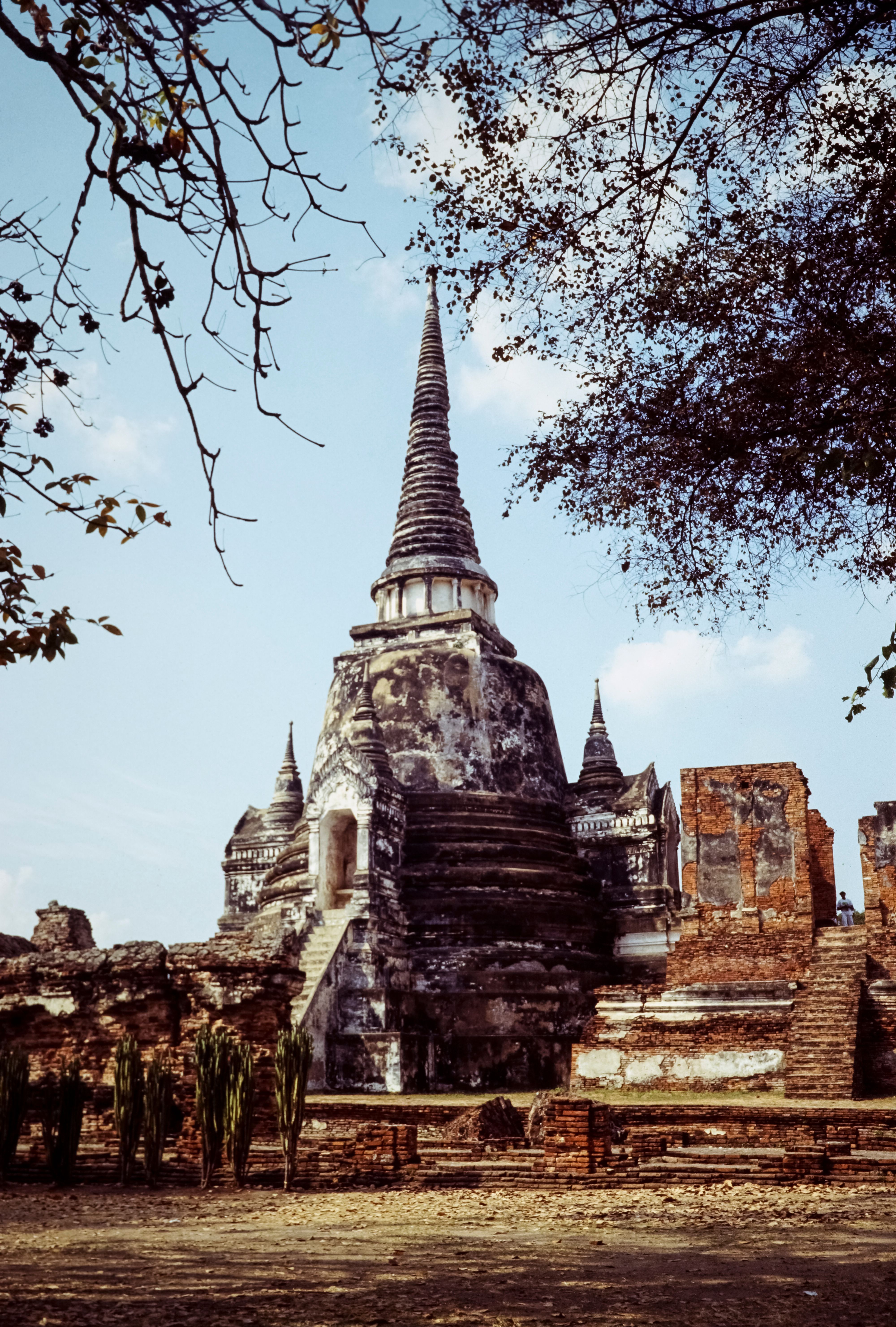 A Day in Bangkok — Bangkok, Thailand. Destination Guides, Cultural Travel.