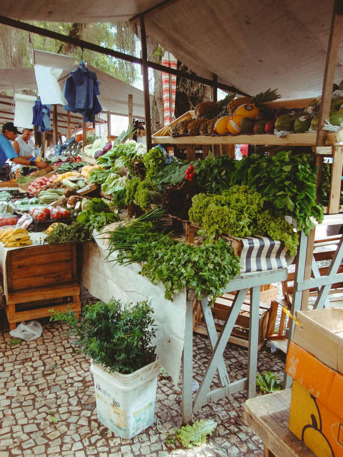 Feira e comércio de Maranguape atendidos pela Hopecont Contabilidade