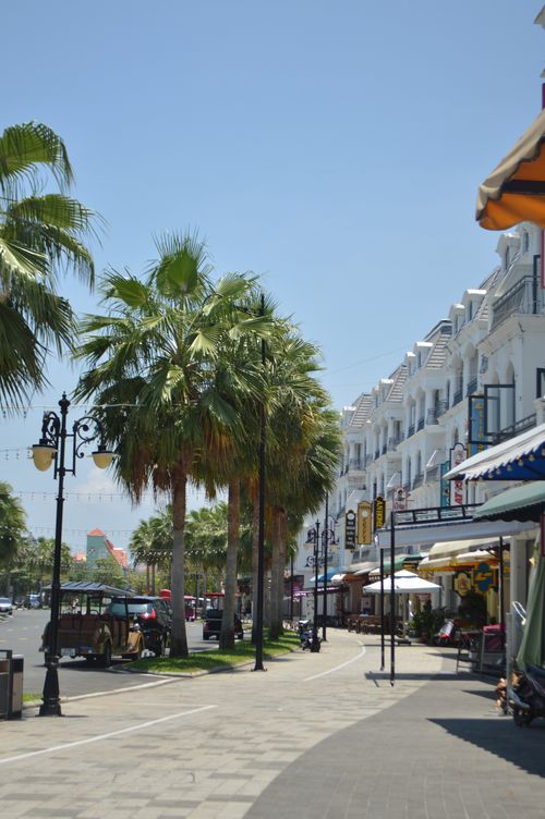 Free Photo of a sunny coastal street lined with palm trees and shops, capturing a relaxed, tropical ambiance. Stock Photo