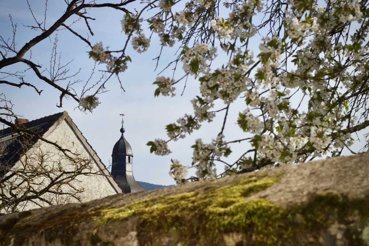 Frühling im Zuhause: 5 Cozy-Home-Deko-Ideen + DIY-Anleitungen — Schritt-für-Schritt-Anleitung