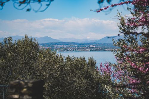 Free Beautiful lake view with mountains and lush trees under a blue sky. Stock Photo