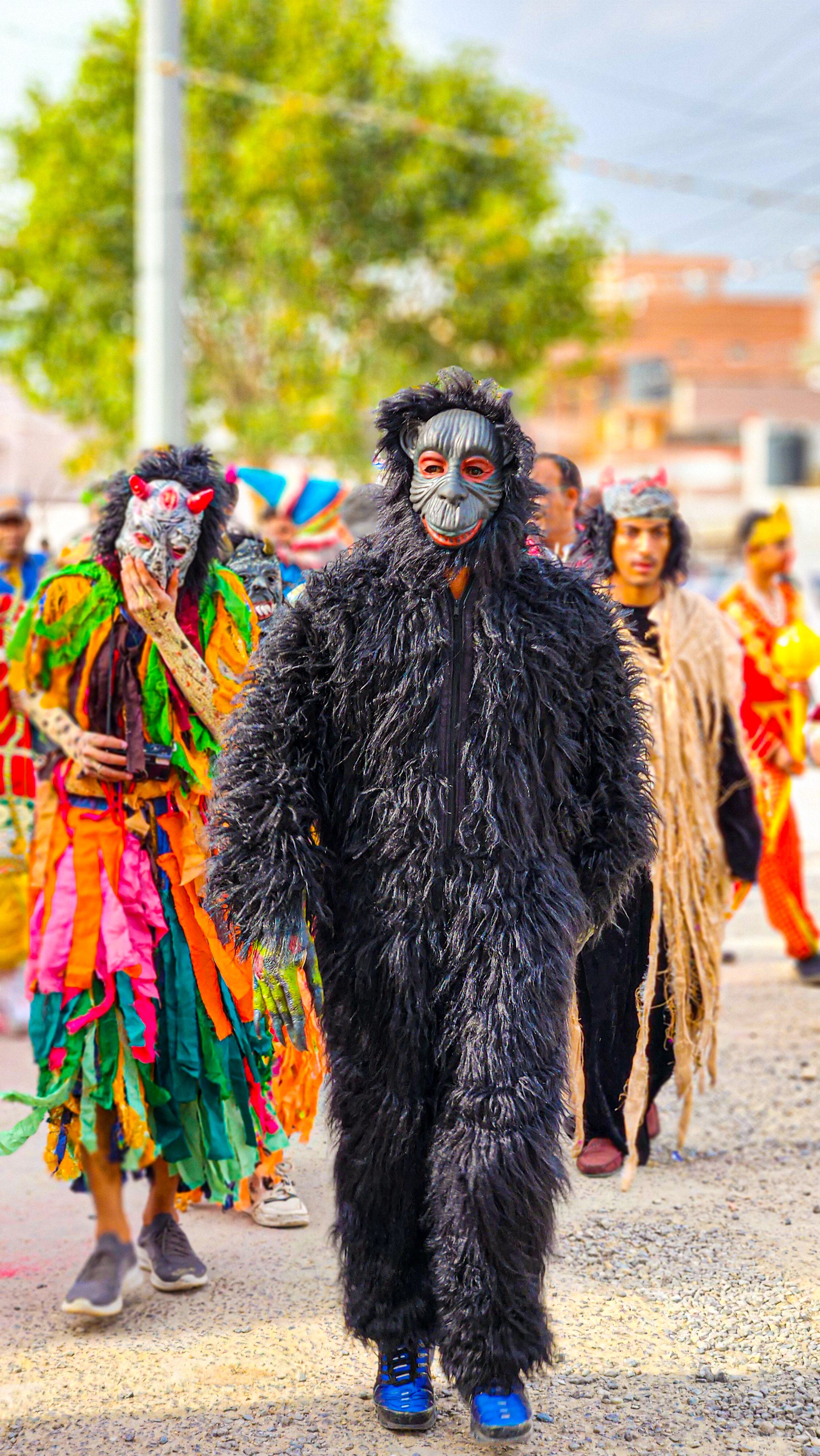 Colorful Festival Parade in Didwana, Rajasthan · Free Stock Photo