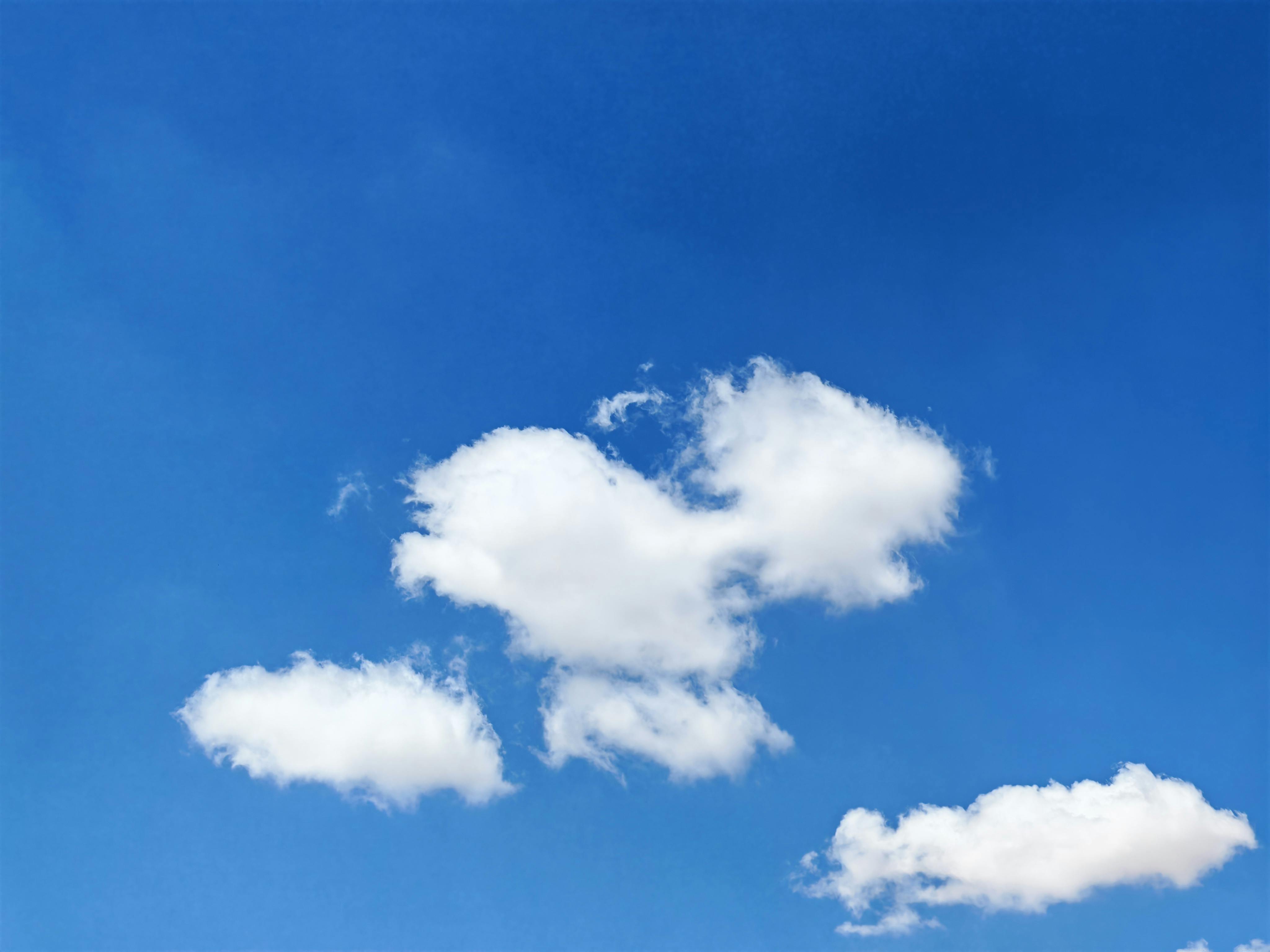 OpenCLaw on AMD Developer Cloud: Free Deployment with Qwen 3.5 and SGLang — Photo by Mahmoud Zakariya on Pexels