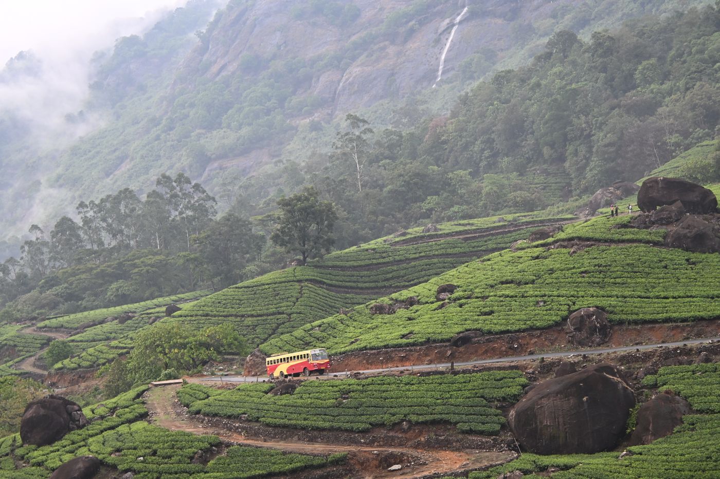 Hill road threading tea slopes below a waterfall face — Munnar, representative image