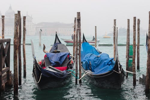 Two Canoes Docked on Body of Water