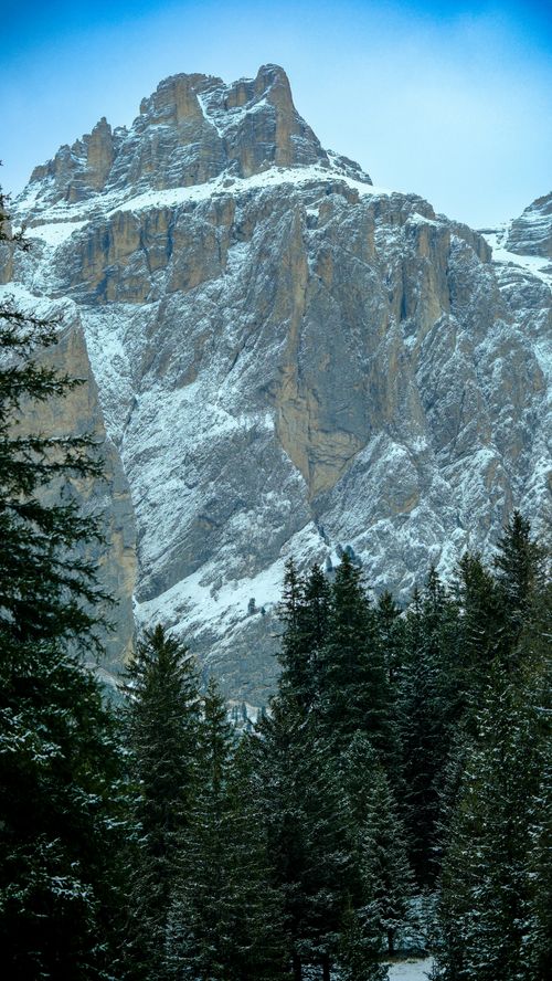 Free Stunning view of snow-covered Dolomite mountains and pine forest in winter. Stock Photo