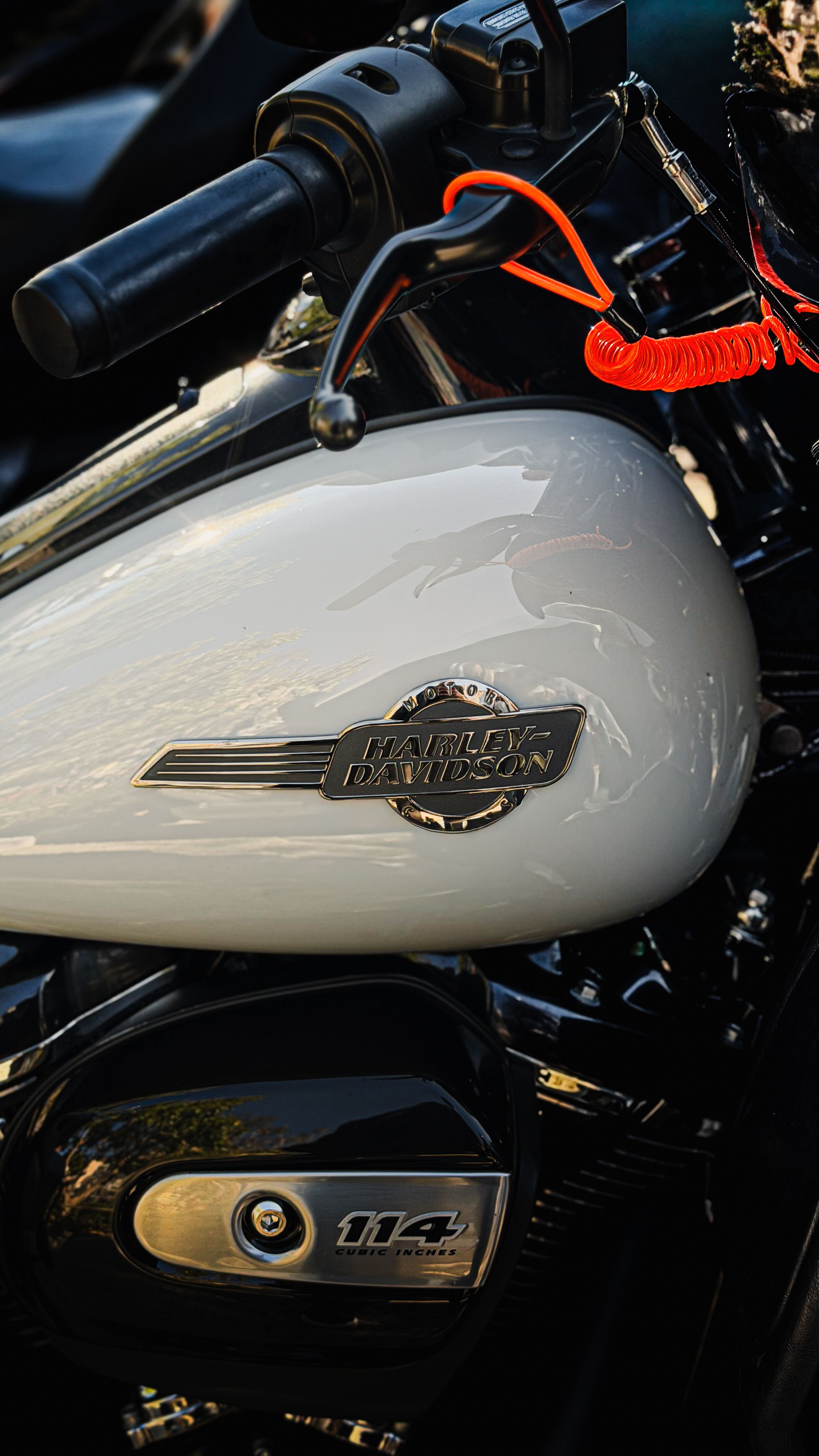 Detailed view of a Harley-Davidson motorcycle fuel tank showcasing brand emblem and design.