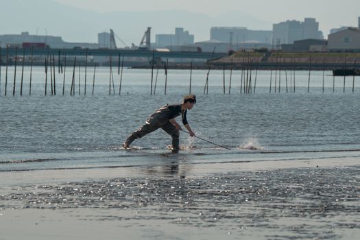 Japanese farmers lose years of research to unauthorized biotech transfer