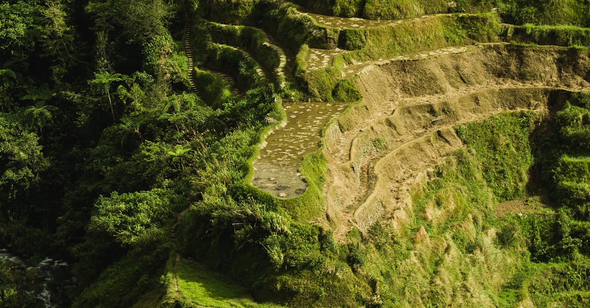 How to become a supplier in the Philippines