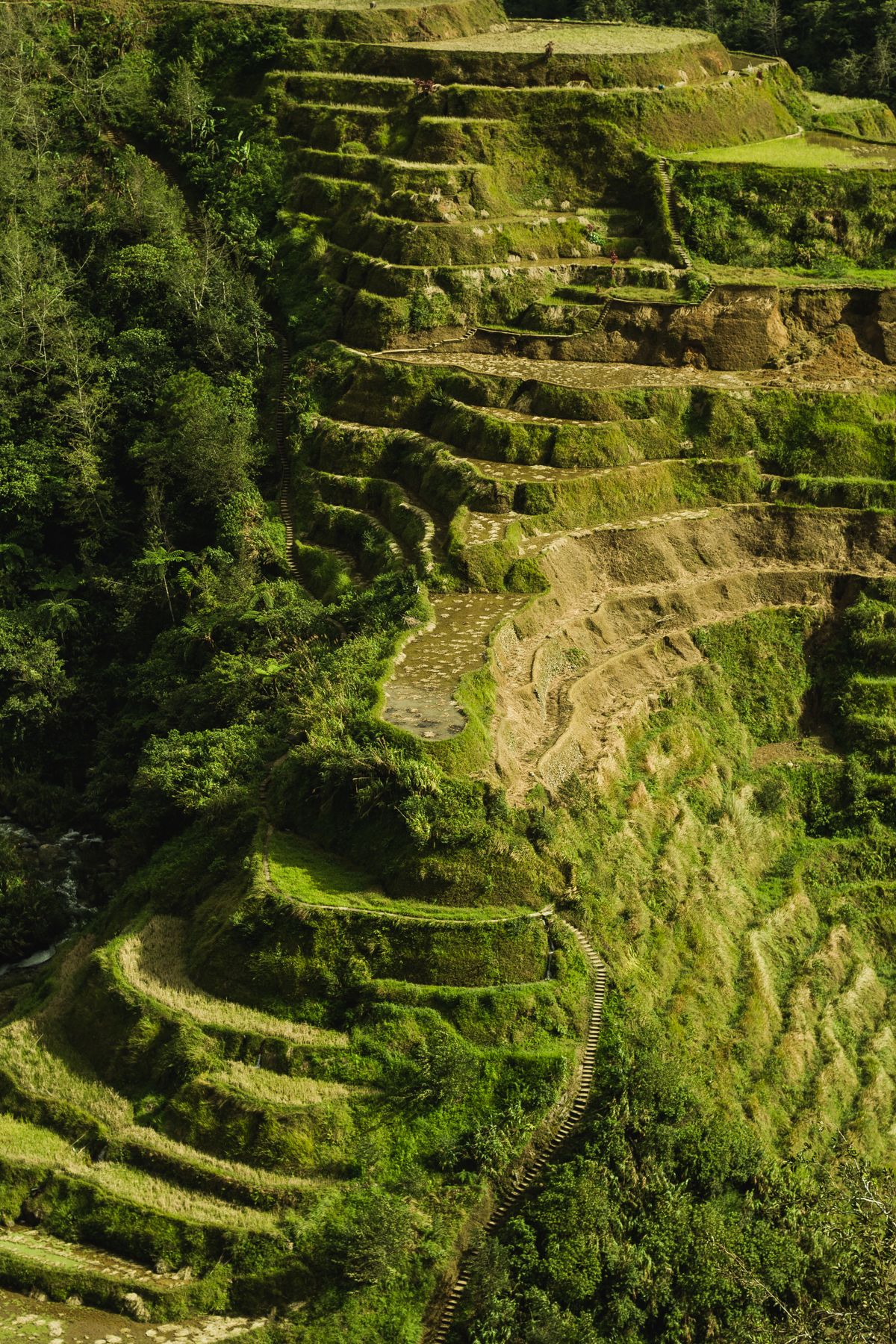 Ifugao culture
