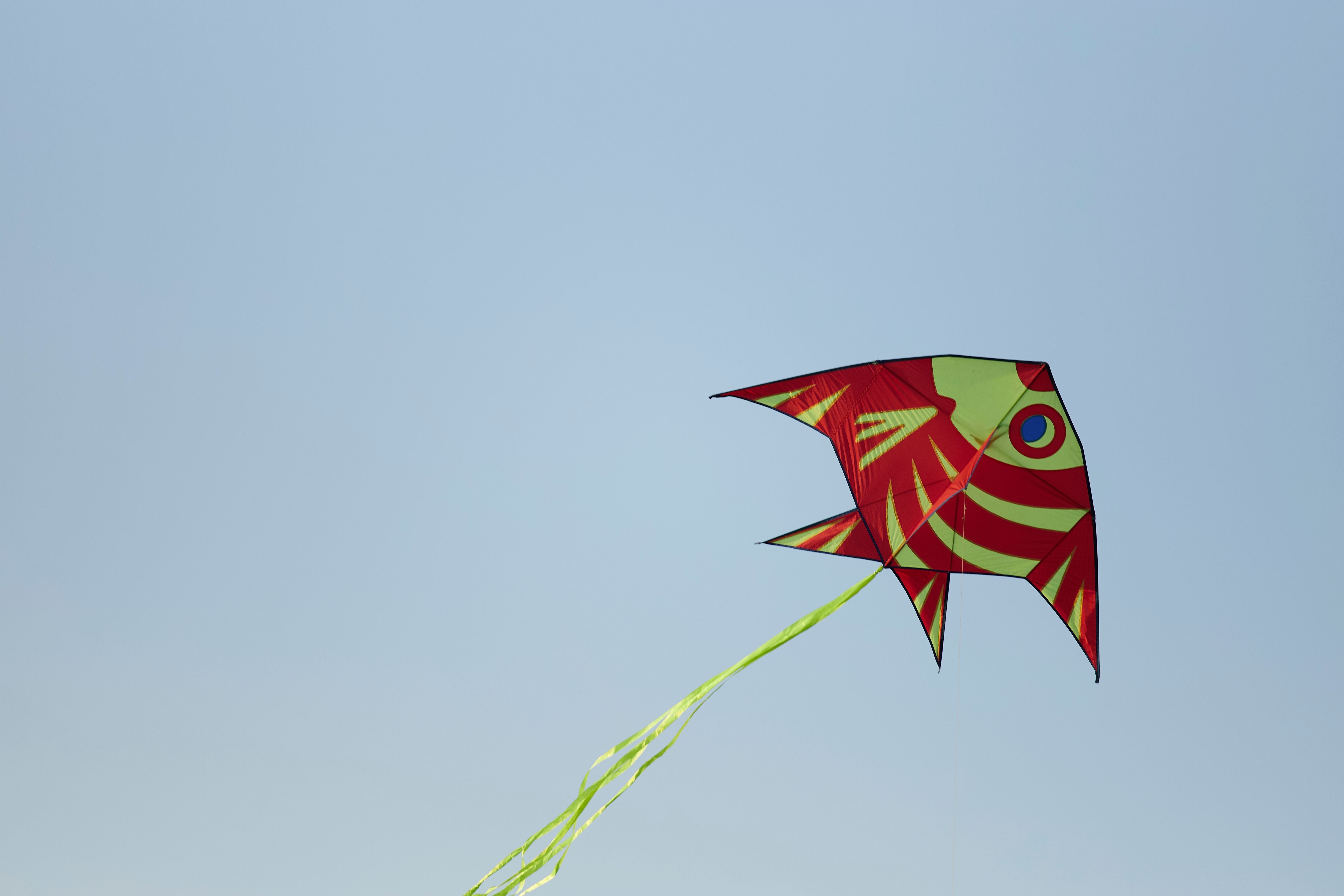 Colorful Fish-Shaped Kite Against Clear Sky · Free Stock Photo