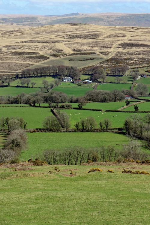 Free Scenic view of lush green fields and rolling hills in Dartmoor, England during spring. Stock Photo