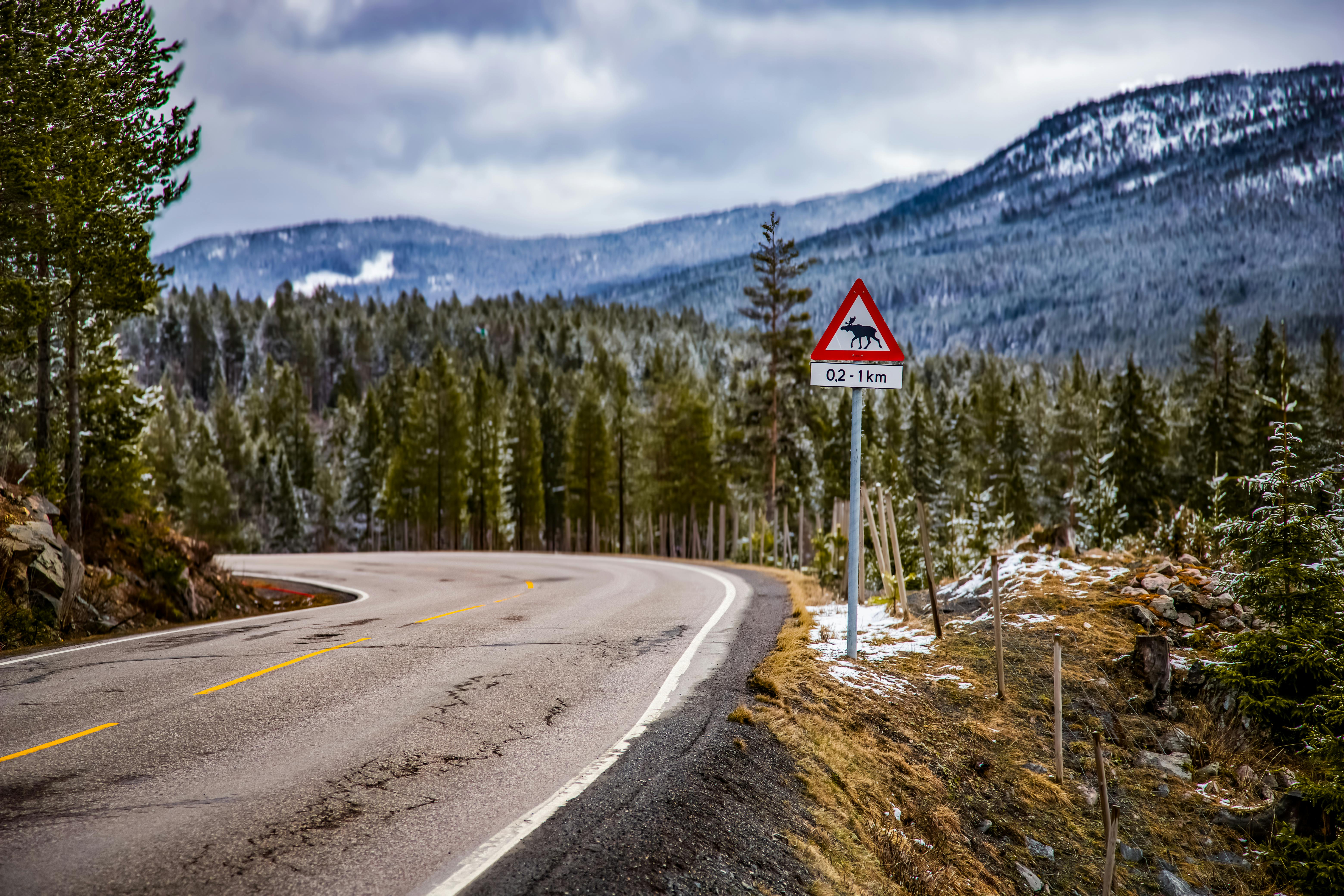 Outdoor Recreation, Road Safety Efforts Advance In Bethlehem — Photo by Jerry Geraldi on Pexels