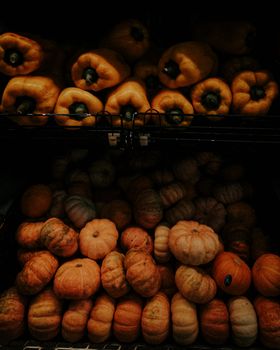 A rich, moody display of bell peppers and pumpkins showcasing fall harvest vibes.