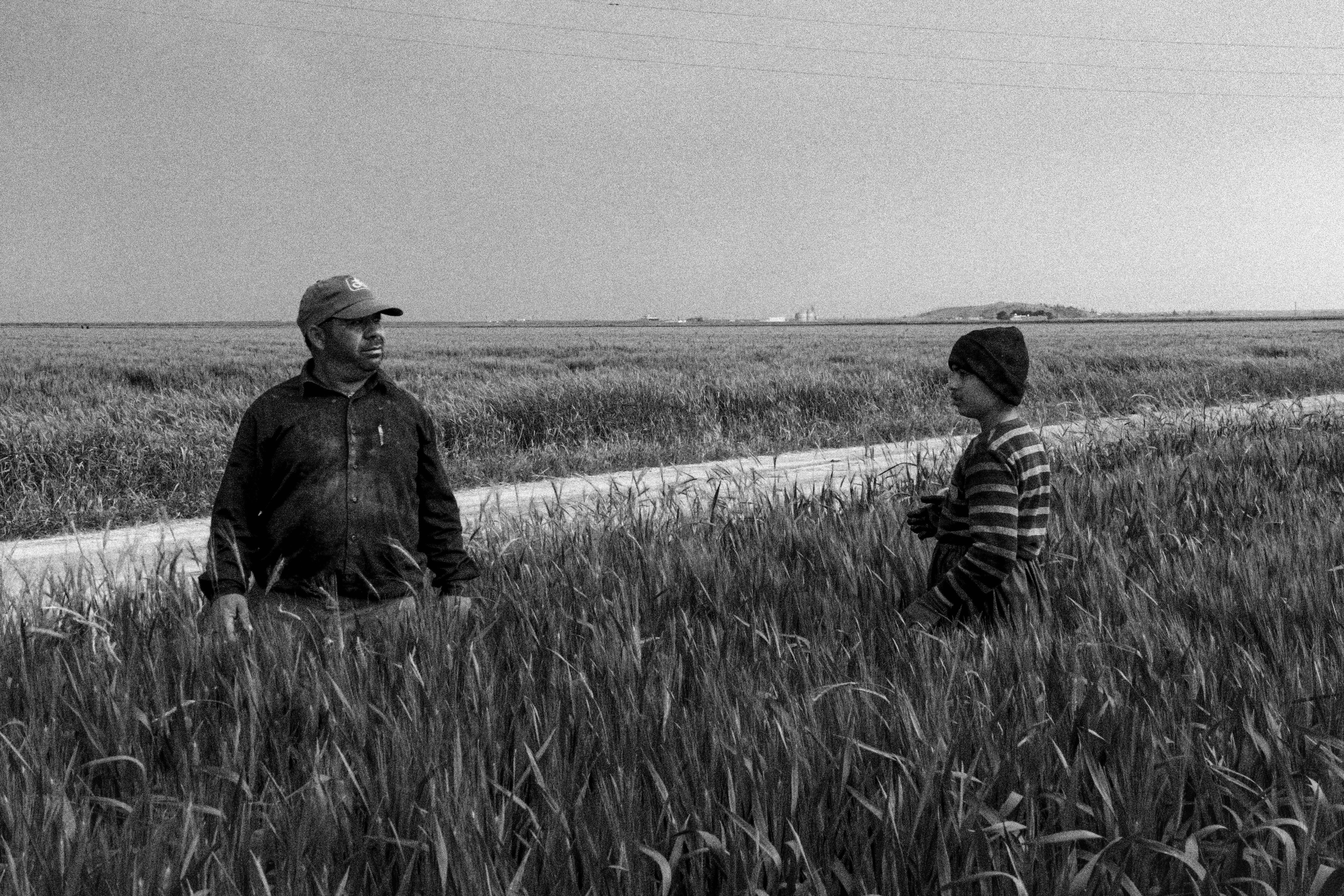 Más de 60 jóvenes rurales se reunieron en Mostazal para dialogar sobre el futuro del campo