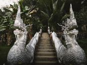 Intricate stone naga sculptures guarding a staircase in a lush jungle setting, evoking spiritual and mystical themes.