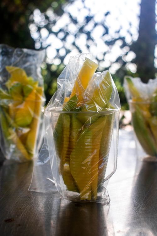 Free Juicy mango slices neatly packed in plastic bags, set outdoors under natural light. Stock Photo
