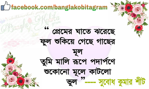 Free stock photo of bangla kobita gram, love sms, subodh kumar sheet Stock Photo
